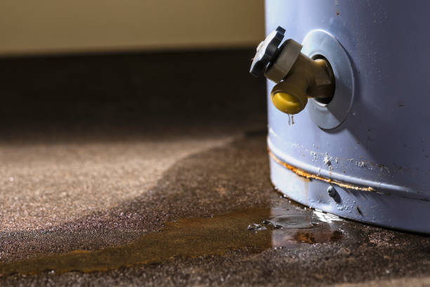 Best Flood damage cleanup  in Neoga, IL
