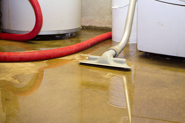 Best Residential water damage restoration  in Neoga, IL