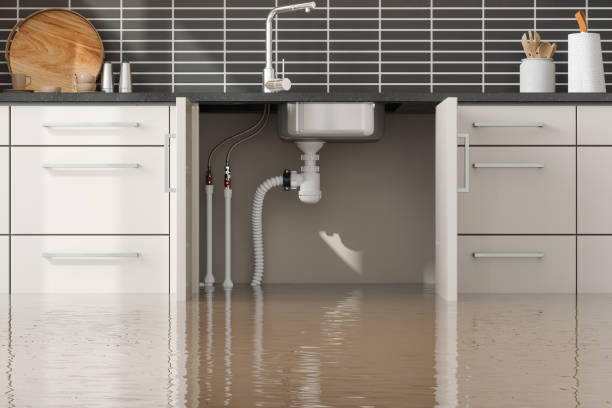Best Water damage restoration near me  in Neoga, IL