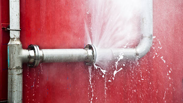 Best Fire Damage Restoration  in Neoga, IL