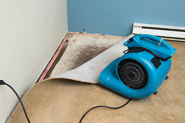 Best Fire Damage Restoration  in Neoga, IL